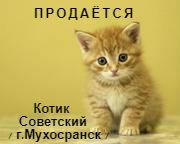 9ea45ed5a4ac7feaf08173ca8176e915.jpg