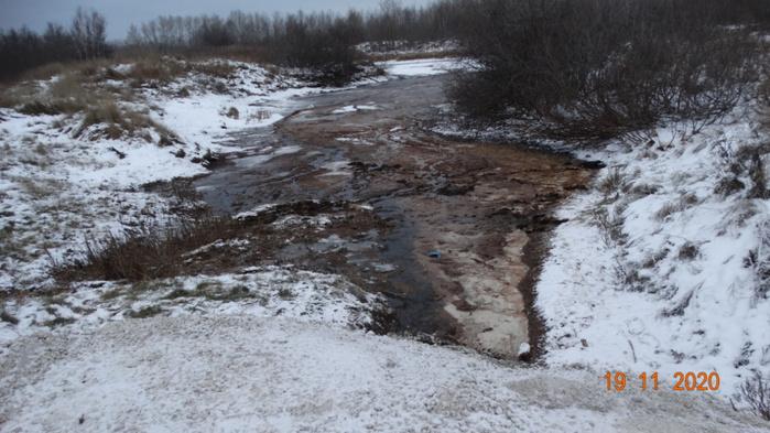 чем больна рыба в каме. 7279531 5342759. чем больна рыба в каме фото. чем больна рыба в каме-7279531 5342759. картинка чем больна рыба в каме. картинка 7279531 5342759. Росприроднадзор и межрайонная природоохранная прокуратура в Березниках выявили, что нарушения в работе березниковского ООО "Сток" привели в ноябре 2020 года к массовой гибели рыбы. 17 ноября прокуратура получила сообщение от жителей, где указывалось о несанкционированном сбросе хлоридов в Каму. Как рассказывали тогда редакции Properm.ru очевидцы, «примерно на протяжении более километра береговой линии лежит мертвая свежая рыба. Рядом, на не замерзшей у берега воде, какая-то пленка, похожая на мазут».