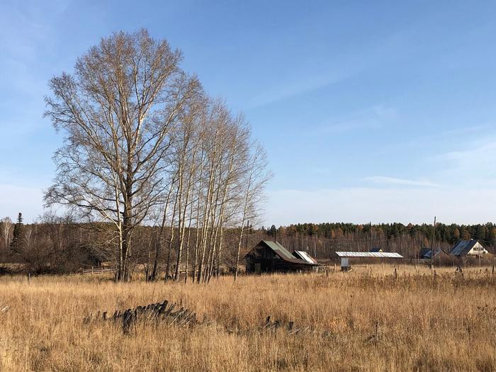 Деревня том. Деревня Болтоногова. Деревня Шевригино. Нашу деревню деревня Новотьялово. Обзор деревни.