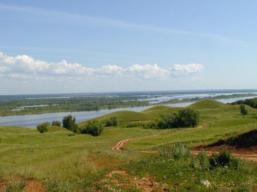 какие звери обитают в нижегородской области. Смотреть фото какие звери обитают в нижегородской области. Смотреть картинку какие звери обитают в нижегородской области. Картинка про какие звери обитают в нижегородской области. Фото какие звери обитают в нижегородской области