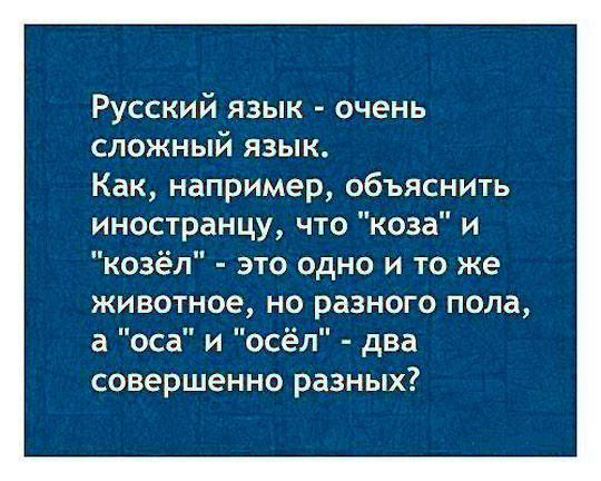 Что непонятно иностранцам в русском языке