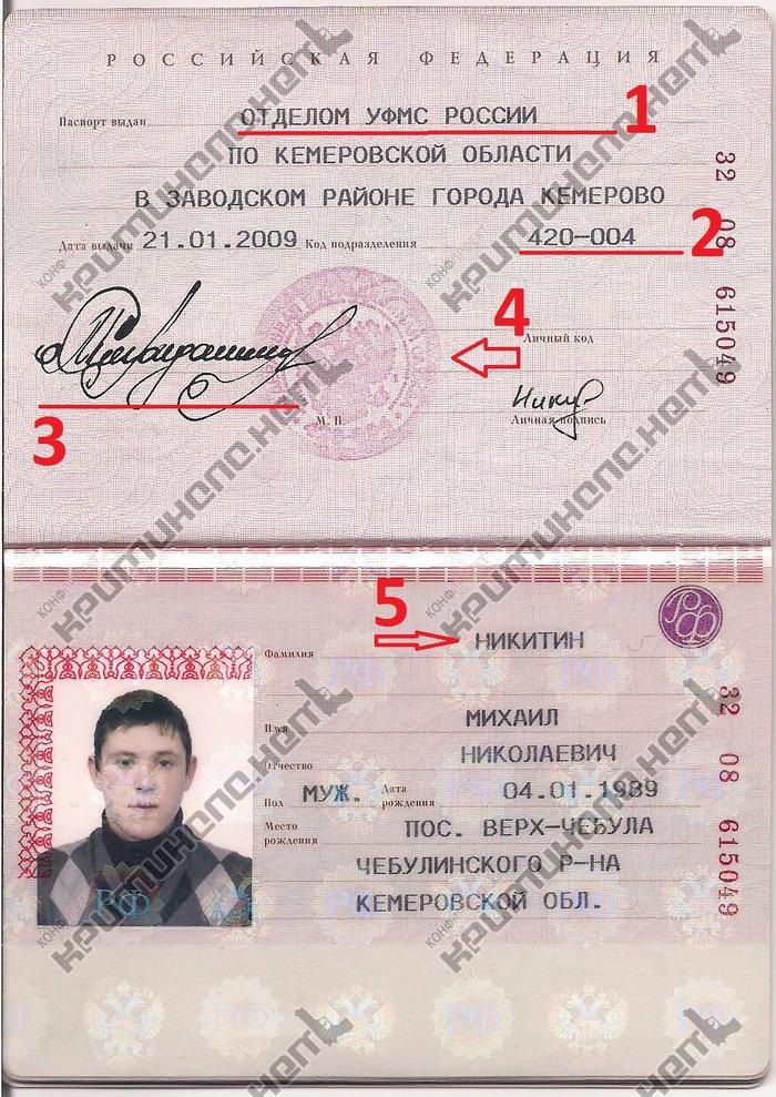 Какая фотография нужна на паспорт 14 лет цветная или черно белая