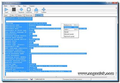 WinAudit 3.2.1 - Копирование отчета