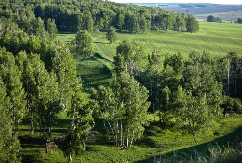 Рассказ о красоте растений самарской области 2 класс