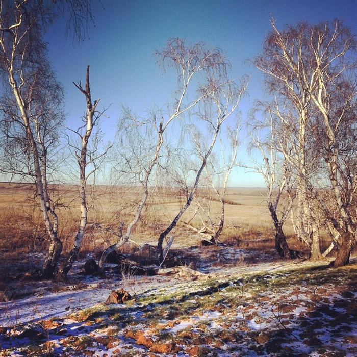 Медведицкая гряда в волгоградской области фото