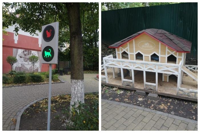 Даже светофоры в Зеленоградске напоминают о кошках, а на улицах для них установлены специальные домики