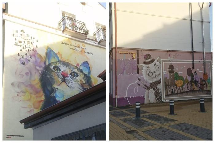Такие «мурлыкающие» граффити можно встретить по всему городу