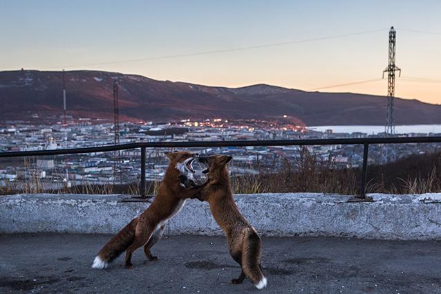 Что такое колыма в тюрьме. Смотреть фото Что такое колыма в тюрьме. Смотреть картинку Что такое колыма в тюрьме. Картинка про Что такое колыма в тюрьме. Фото Что такое колыма в тюрьме