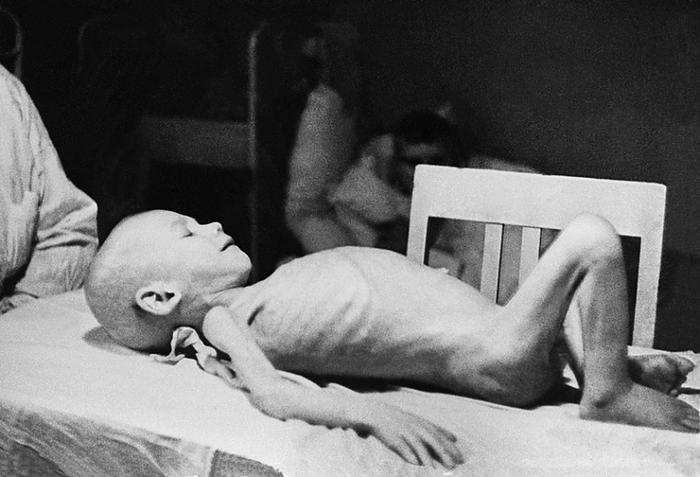 Чем питались блокадники ленинграда. Смотреть фото Чем питались блокадники ленинграда. Смотреть картинку Чем питались блокадники ленинграда. Картинка про Чем питались блокадники ленинграда. Фото Чем питались блокадники ленинграда