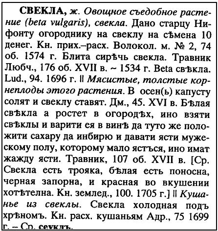 в чем разница между бураком и свеклой. Смотреть фото в чем разница между бураком и свеклой. Смотреть картинку в чем разница между бураком и свеклой. Картинка про в чем разница между бураком и свеклой. Фото в чем разница между бураком и свеклой