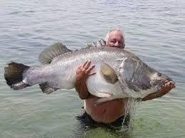 Старинный способ ловли рыбы голыми руками от дедушки Гордея