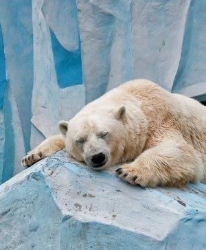 Image Hosted by PiXS.ru