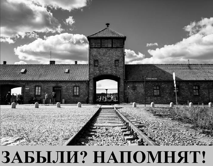 почему люди такие бараны. Смотреть фото почему люди такие бараны. Смотреть картинку почему люди такие бараны. Картинка про почему люди такие бараны. Фото почему люди такие бараны