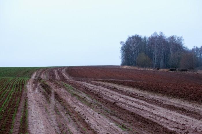 Очарование русской дороги дорога, красота, пейзаж, природа, родные просторы, россия, эстетика