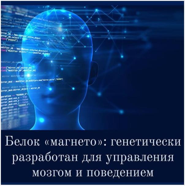 генетически модифицированный белок magneto дистанционно контролирует мозг и поведение