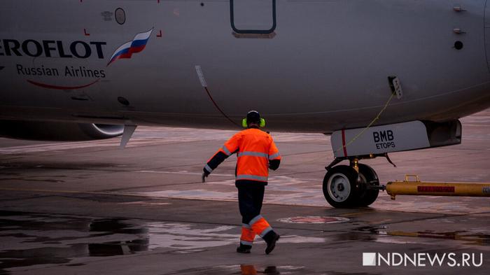 «Аэрофлот» третий день не отправляет собаку из Москвы в Калининград