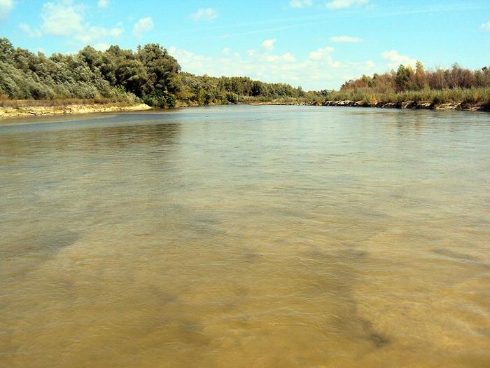 какая рыба водится в медведице саратовской области. Смотреть фото какая рыба водится в медведице саратовской области. Смотреть картинку какая рыба водится в медведице саратовской области. Картинка про какая рыба водится в медведице саратовской области. Фото какая рыба водится в медведице саратовской области