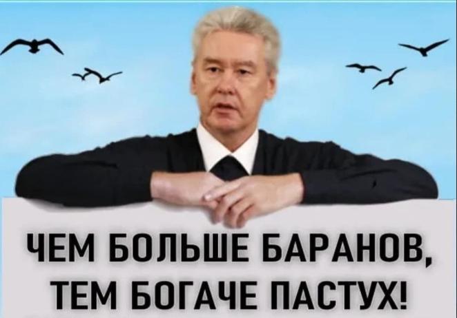чем больше баранов тем богаче пастух собянин. 7510030 5735759. чем больше баранов тем богаче пастух собянин фото. чем больше баранов тем богаче пастух собянин-7510030 5735759. картинка чем больше баранов тем богаче пастух собянин. картинка 7510030 5735759. Ковидобесие продолжает шагать по Европе. На фоне почти 70% привитого населения в Австрии, реанимации переполнены больными, там ввели полный локдаун. Не верящий властям народ ответил невиданными ранее массовыми протестами.