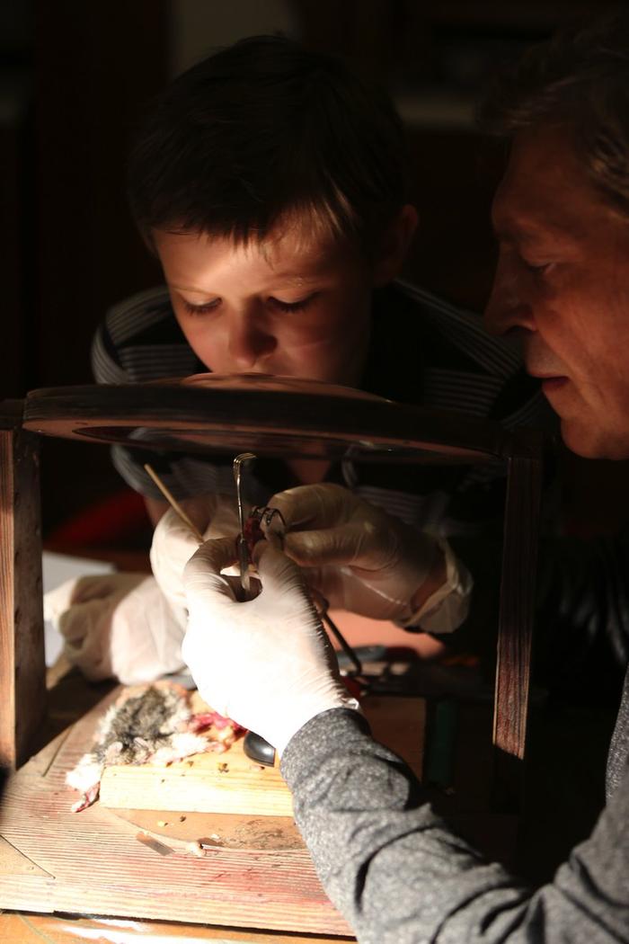 Расчленители - папа и сын.