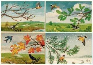 Кузнецкий алатау что охраняется. Смотреть фото Кузнецкий алатау что охраняется. Смотреть картинку Кузнецкий алатау что охраняется. Картинка про Кузнецкий алатау что охраняется. Фото Кузнецкий алатау что охраняется