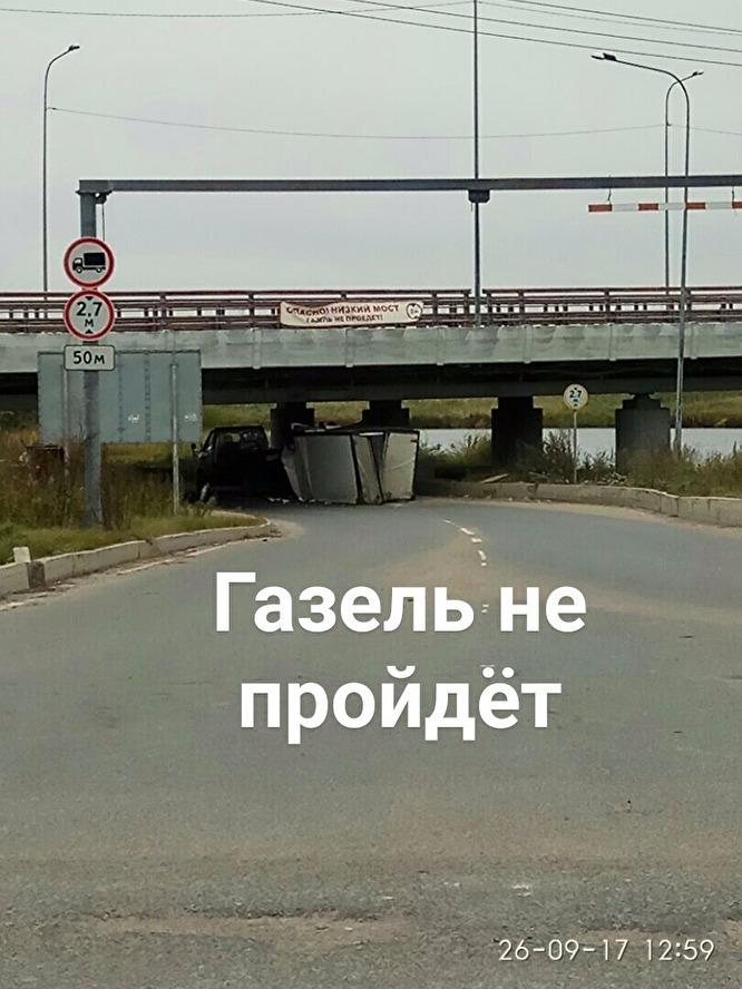 Газель гудит мост