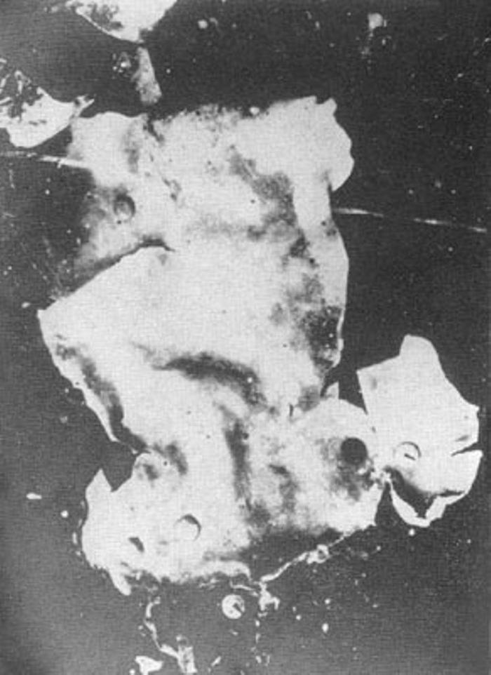 Кожа, содранная с конечностей жертв в доме Рабиновича на ул. Ломоносова в Херсоне, где пытала херсонская чрезвычайка. 