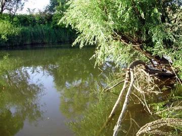 какая рыба водится в куйбышевском водохранилище. Смотреть фото какая рыба водится в куйбышевском водохранилище. Смотреть картинку какая рыба водится в куйбышевском водохранилище. Картинка про какая рыба водится в куйбышевском водохранилище. Фото какая рыба водится в куйбышевском водохранилище