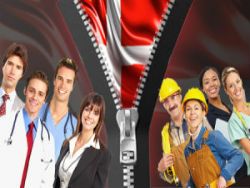 Рынок труда в Дании и его национальные особенности