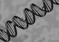 Ученые нашли новый тип молекул РНК