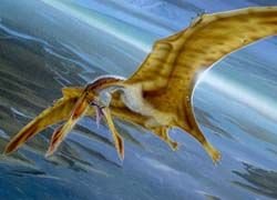 Ученые выделили новый вид летающих динозавров