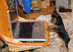 Как сохранить здоровье жёсткого диска в ноутбуке?