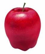 В кожуре американских яблок содержатся вещества, предотвращающие возникновение некоторых раковых заболеваний