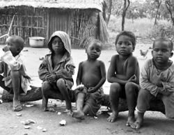 Всемирная организация здравоохранения расследует вспышку неизвестной болезни в Конго