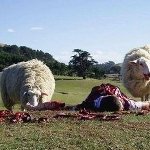 Наступление ответственн