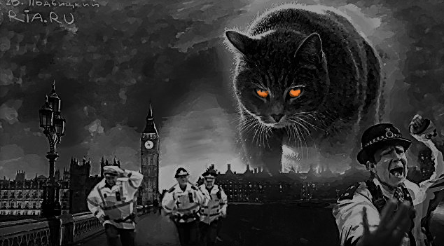 мстящий кот