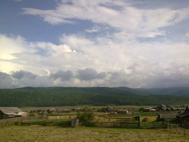 шимки