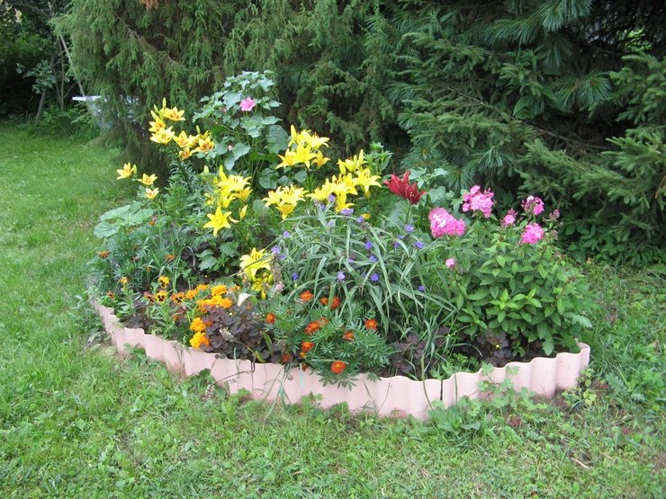 клумба