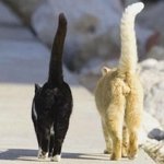 весенние свидание