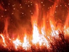 МЧС: Хакасия, Тыва и Бурятия не готовы к пожароопасному периоду