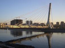 Прокуратура сообщила решение по мосту Кадырова в Петербурге