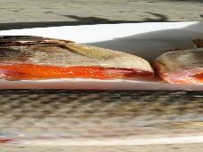 Ботулизм: Вяленую и сухую рыбу на стихийных рынках лучше не покупать