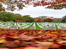 В день инаугурации в Вашингтоне решили закрыть даже Арлингтонское военное кладбище