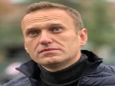 Навального отправили в колонию, в которой шьют трусы для ФСИН