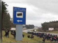 Огромная колонна мигрантов движется к белорусско-польской границе