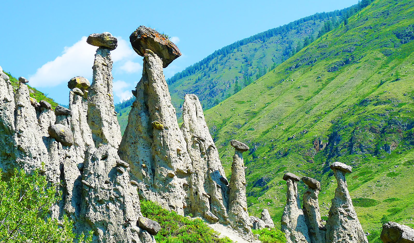 Куда горных. Урочище Аккурум каменные грибы. Каменные грибы горный Алтай. Урочище Аккурум Алтай. Каменные грибы Телецкое озеро.