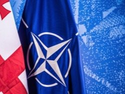 СМИ: Число противников членства Грузии в НАТО резко возросло