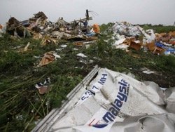 Группа голландцев просит Трампа назначить новое расследование по MH17