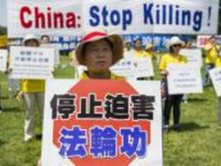 Правозащитник Килгур: для продажи одной почки в Китае убили восемь человек