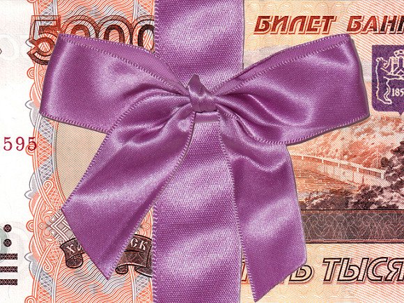 Депутат-единоросс петербургского ЗакСа устыдился своей маленькой зарплаты
