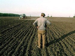 Опасность отмены санкций для российских аграриев сильно преувеличена
